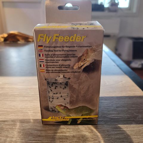 Fly Feeder