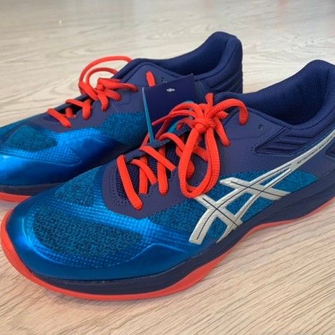 Asics Netburner Ballistic FF Men