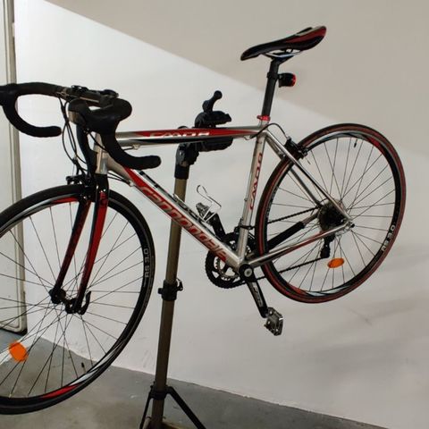 Cannondale CAAD8 (2015)