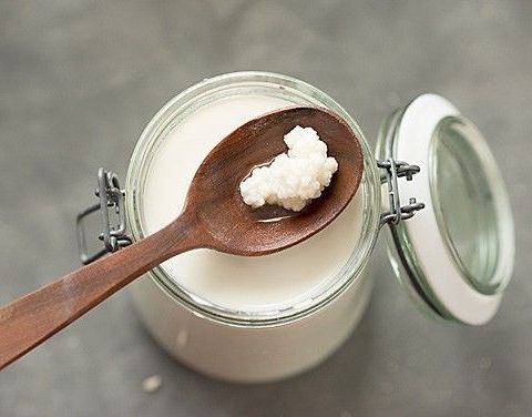 Økologiske melke kefirkorn til hjemmelaget kefir og kvarg / milk kefir grains