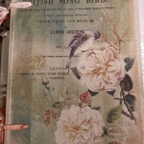 2 Pynte Bøker I Shabby Chic Stil British Song Birds Selges Samlet