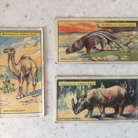 Vintage 1920s Burdall's Gravy Salt Collectors Cards (RARE)