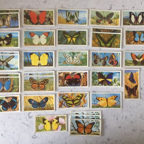 Vintage 1964 Brooke Bond Collection Cards - "Butterflies of the World"