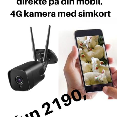 *FJØSKAMERA* 4G Kamera med bilde på mobilen. Bevegelses alarm