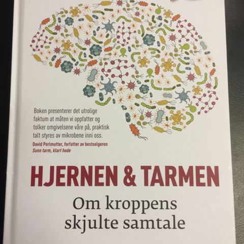 Sjarmen med tarmen, Hjernen og tarmen, Sunn tarm klart hode