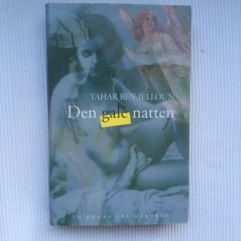 BokFrank: Tahar Ben Jelloun; Den gale natten (1998)