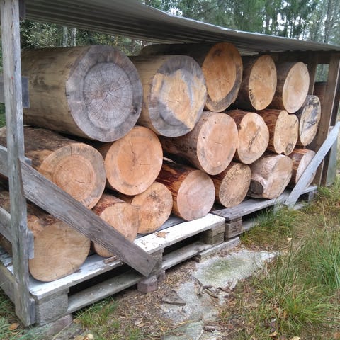 Annonsebilde