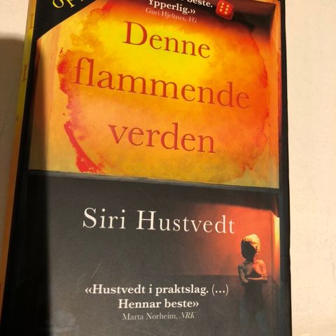 Siri Hustvedt: Denne flammende verden