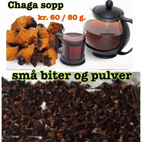 Chaga