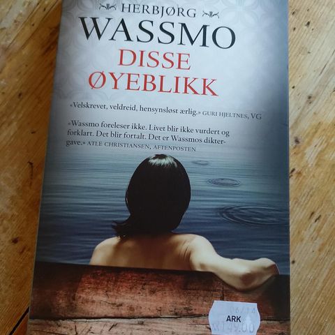 Herbjørg Wassmo "Disse øyeblikk" 2014 pocketbok 