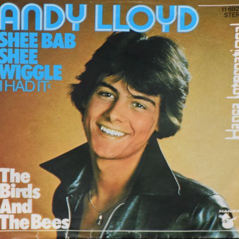 Andy Lloyd – Shee Bab Shee Wiggle (I Had It), 1977