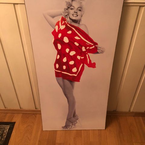 Råkult Marilyn Monroe bilde/poster