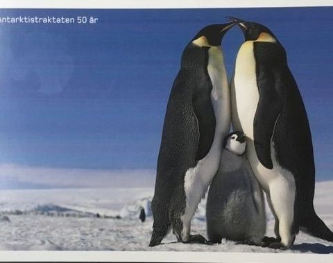 Norge 2011 Postens spesialkort Antarktistraktaten 50 år Helpost Førstedag
