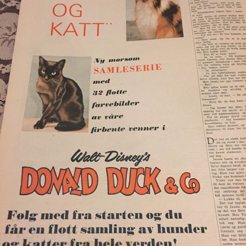 Reklame for Donald fra 1962