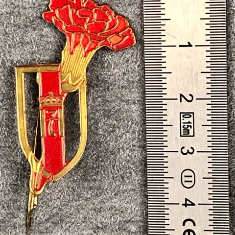 Jakkenål - pin med kongeblomst og kongemonogram H7