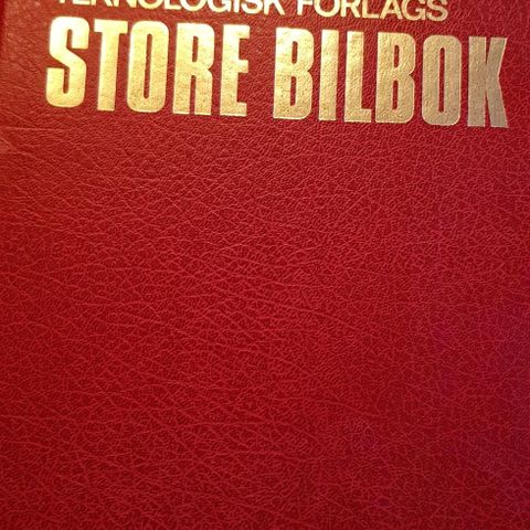 Store bilbok