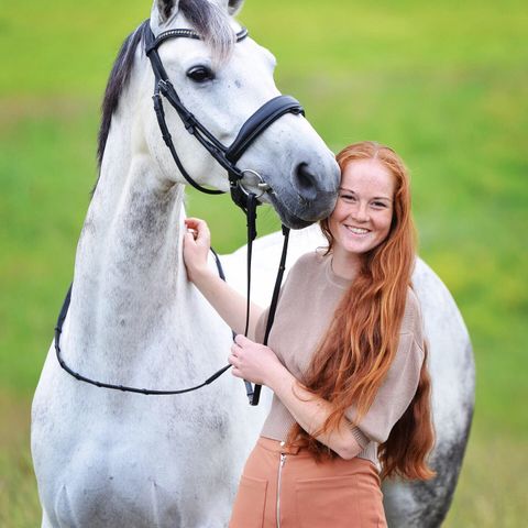 Unik 12 år gammel dressur/sprang hest selges!