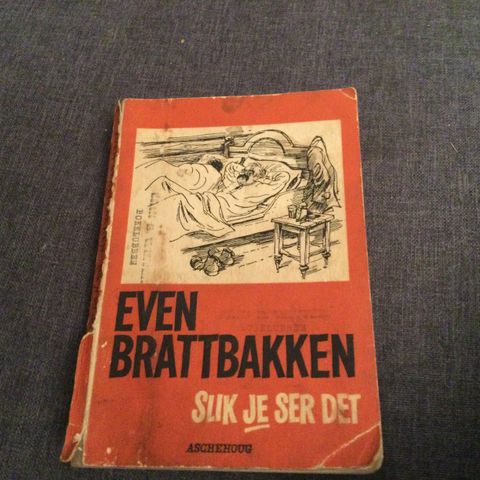 Even brattbakken bok 1964