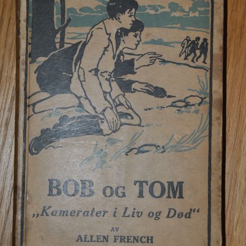 Barnebok fra 1917: Bob og Tom: Allen French. Innb. (U). Sendes