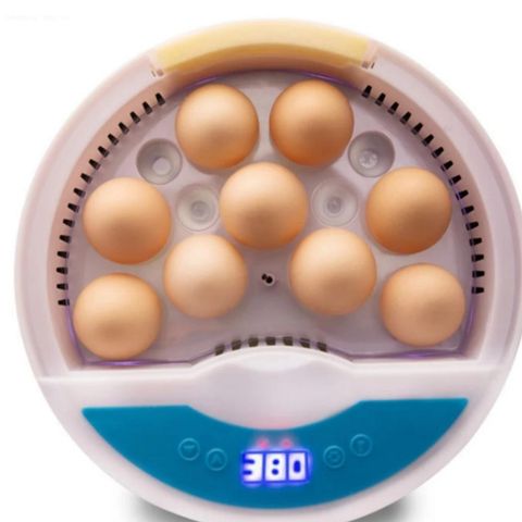 Ny rugemaskin inntil 9 egg.  frakt med sporing nr