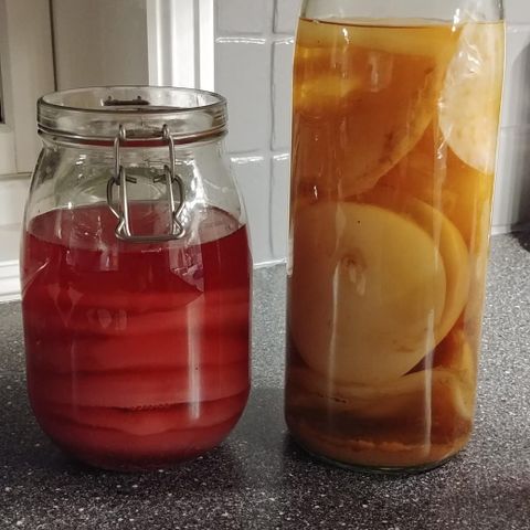Scoby selges