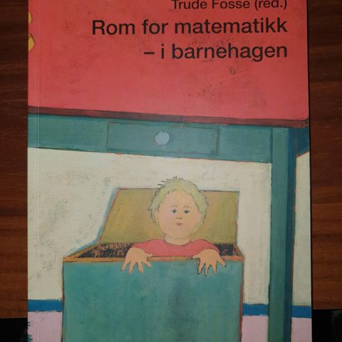 Rom for  matematikk -i barnehagen