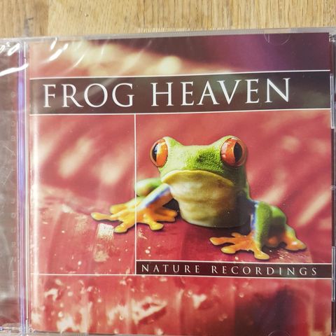 Frog heaven