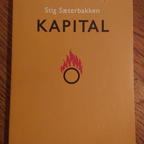 Kapital av Stig Sæterbakken