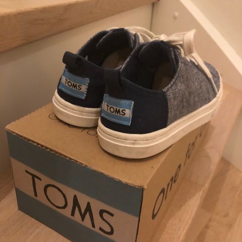 Toms sko