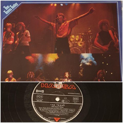 VINTAGE/ RETRO LP-VINYL "THE TEENS/THE TEENS TODAY 1980"