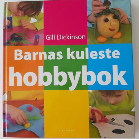 BARNAS KULESTE HOBBYBOK.