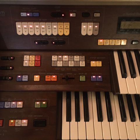 Technics Pcm Sound E55 Orgel!