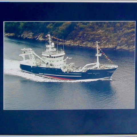 Fiskefartøy - M/S «Møgsterhav» - Stort innrammet originalfoto - Maritim