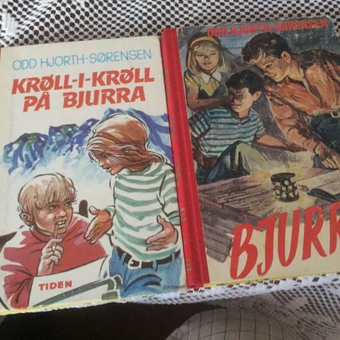 Bjurra.   Krøll-i-Krøll på Bjurra.    — Odd Hjorth-Sørensenh