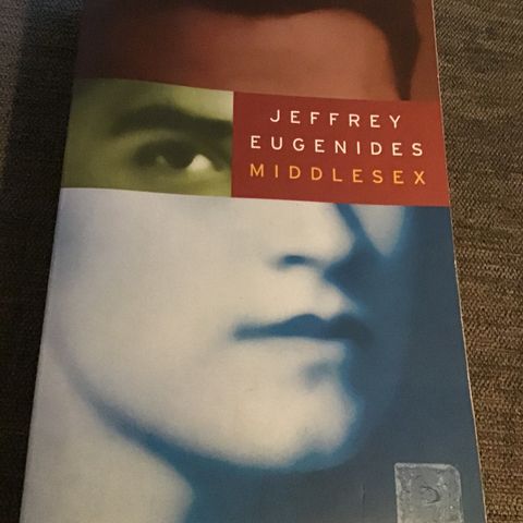 Pocketbok: Jeffrey Eugenides, Middlesex