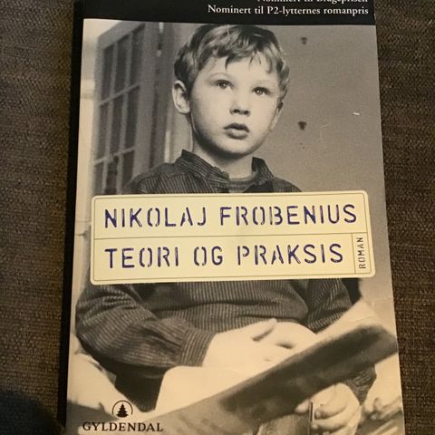 Pocketbok:  Nikolaj Frobenius, Teori og praksis