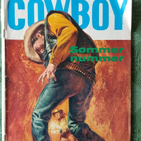 Cowboy sommernummer / 1973-13