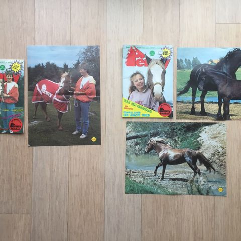 2 Penny Klunbben Magazines (1986-87) + Posters