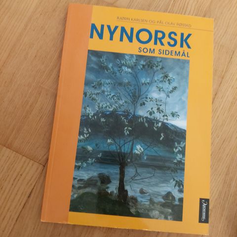 Ny norsk som sidemål