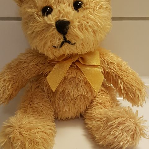 Bamse selges, aldri lekt med.