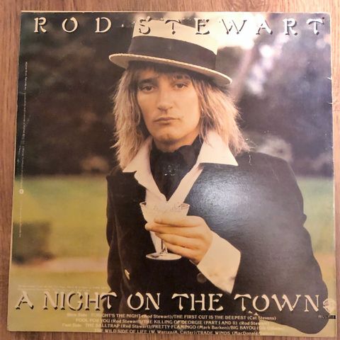 Rod Stewart - A night on the town