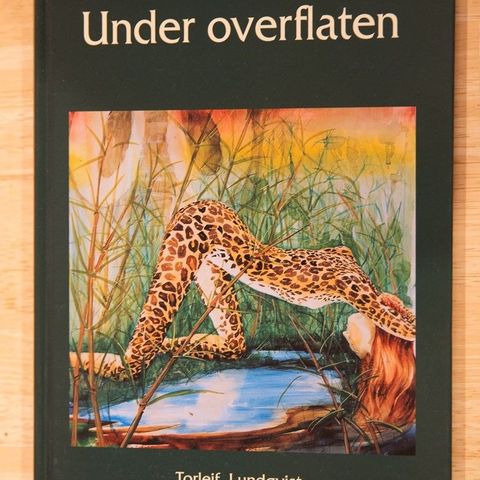 Bok & hvalsafari DVD (Torleif Lundqvist)