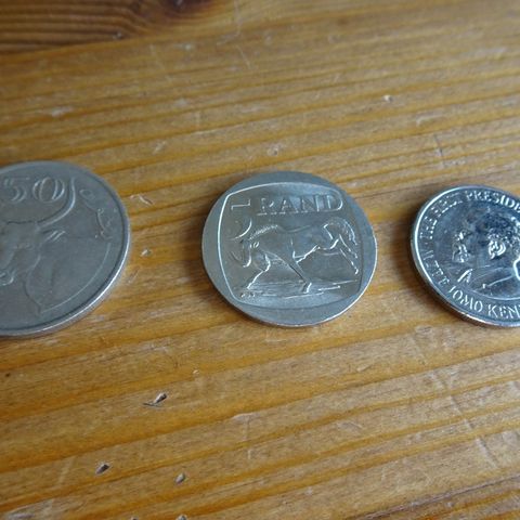 Afrikansk mynt