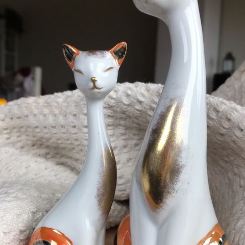 To flotte kattepuser