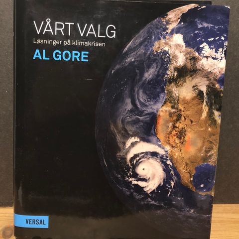 Vårt valg av Al Gore