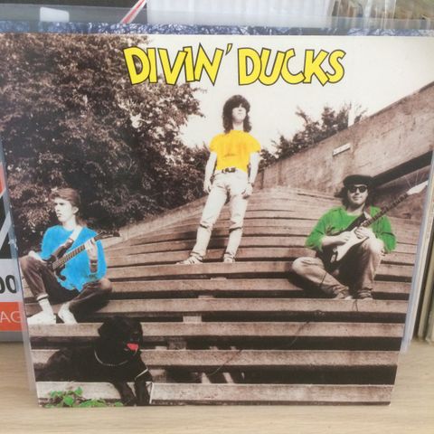 Divin  Ducks - Lp -  debut Lp 1988 - 100% prakt eksemplar