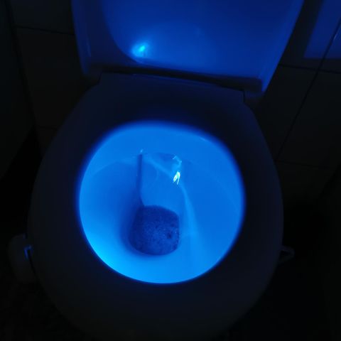 Led lys til toalett 