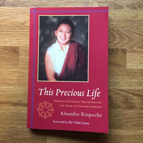 This Precious Life av Rinpoche