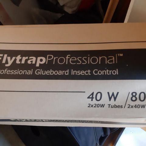 Flytrap Professional GLUEBORD INSEKT