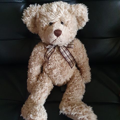 Russ Tennyson bear